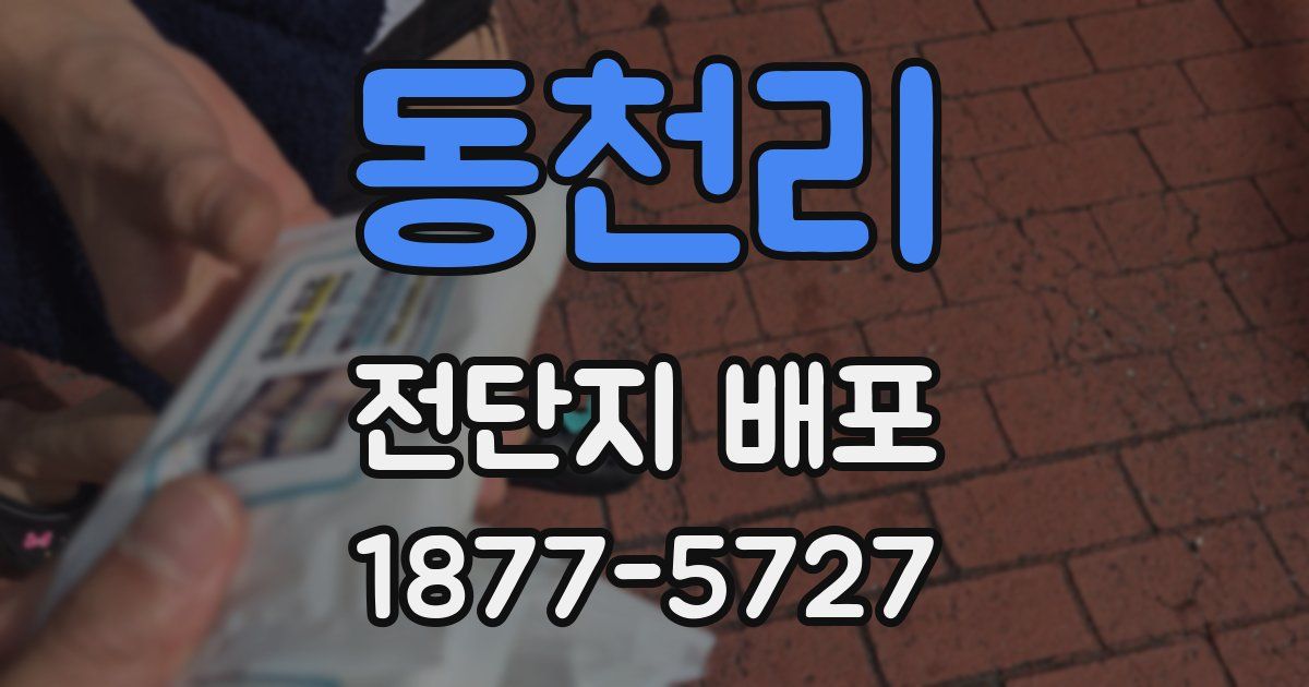 동천리 전단지 배포