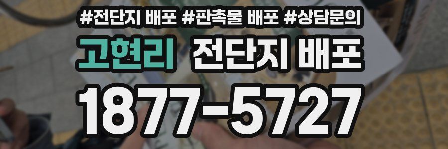 고현리 전단지 배포