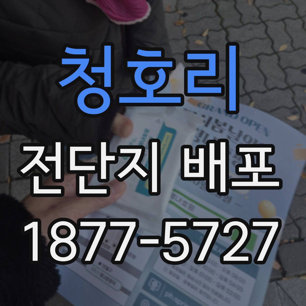 청호리 전단지 배포