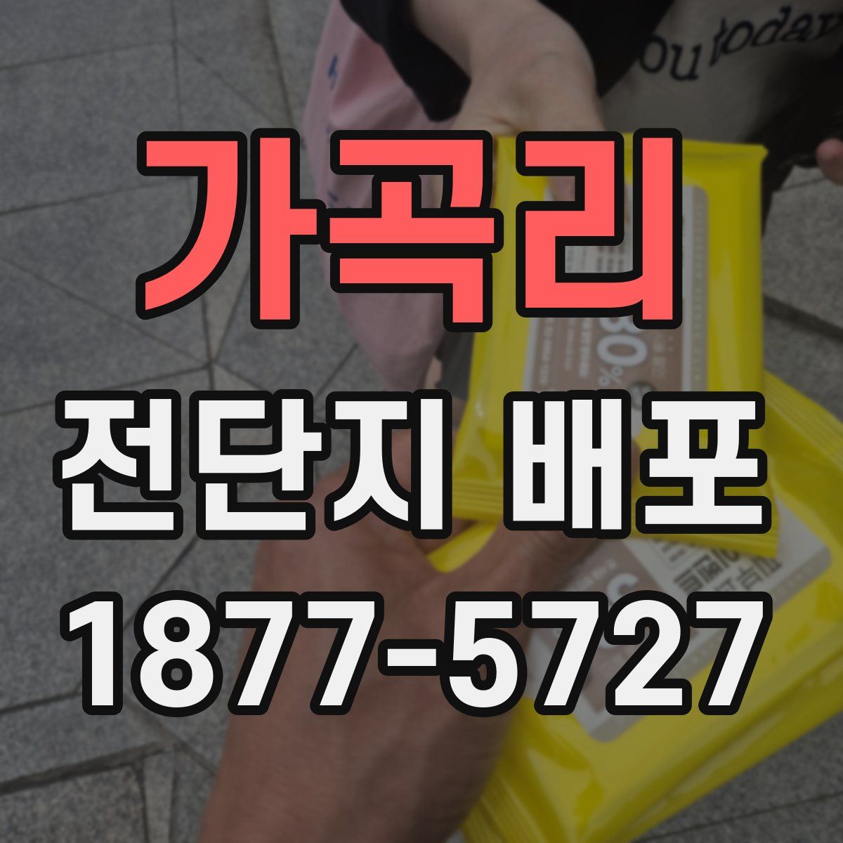 가곡리 전단지 배포