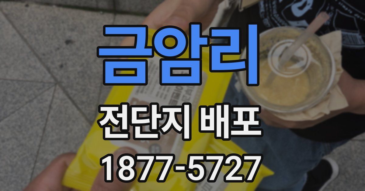 금암리 전단지 배포