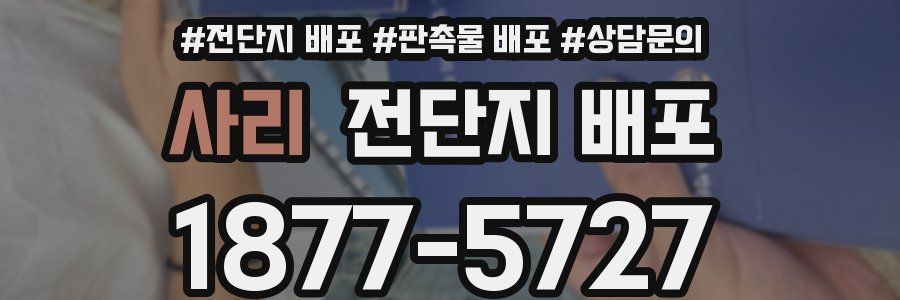 사리 전단지 배포