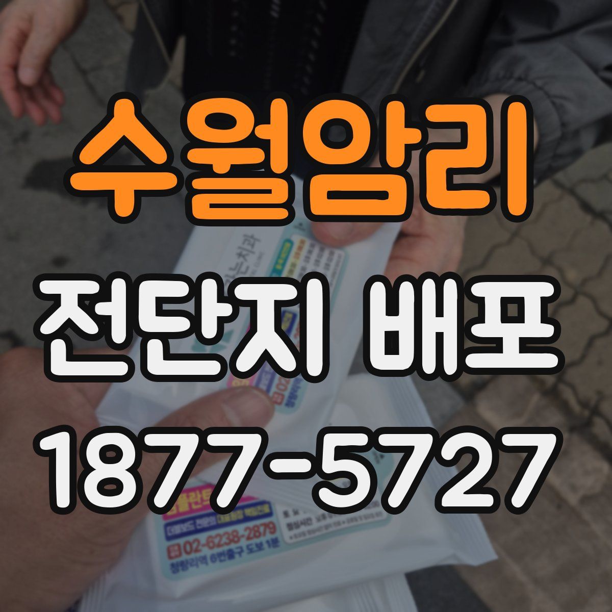 수월암리 전단지 배포
