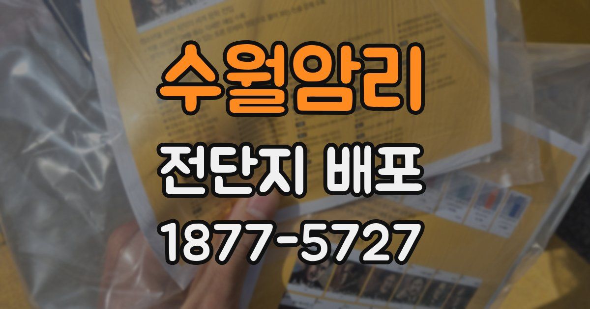 수월암리 전단지 배포