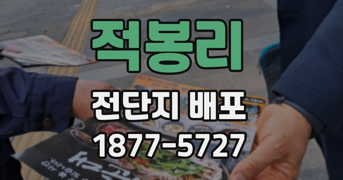 적봉리 전단지 배포