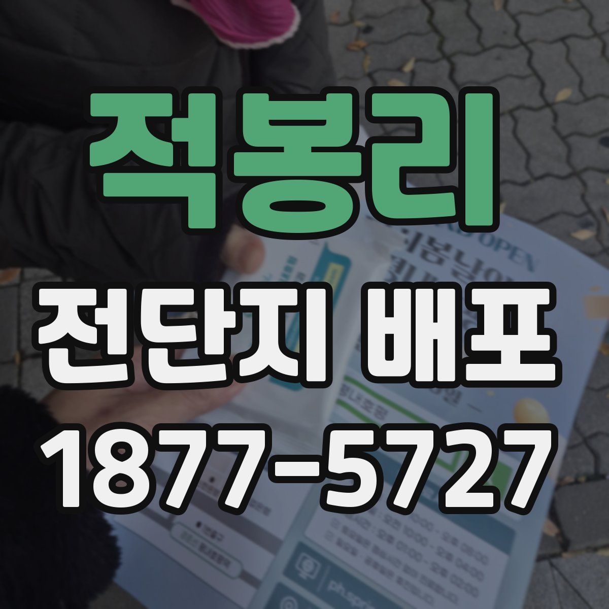 적봉리 전단지 배포