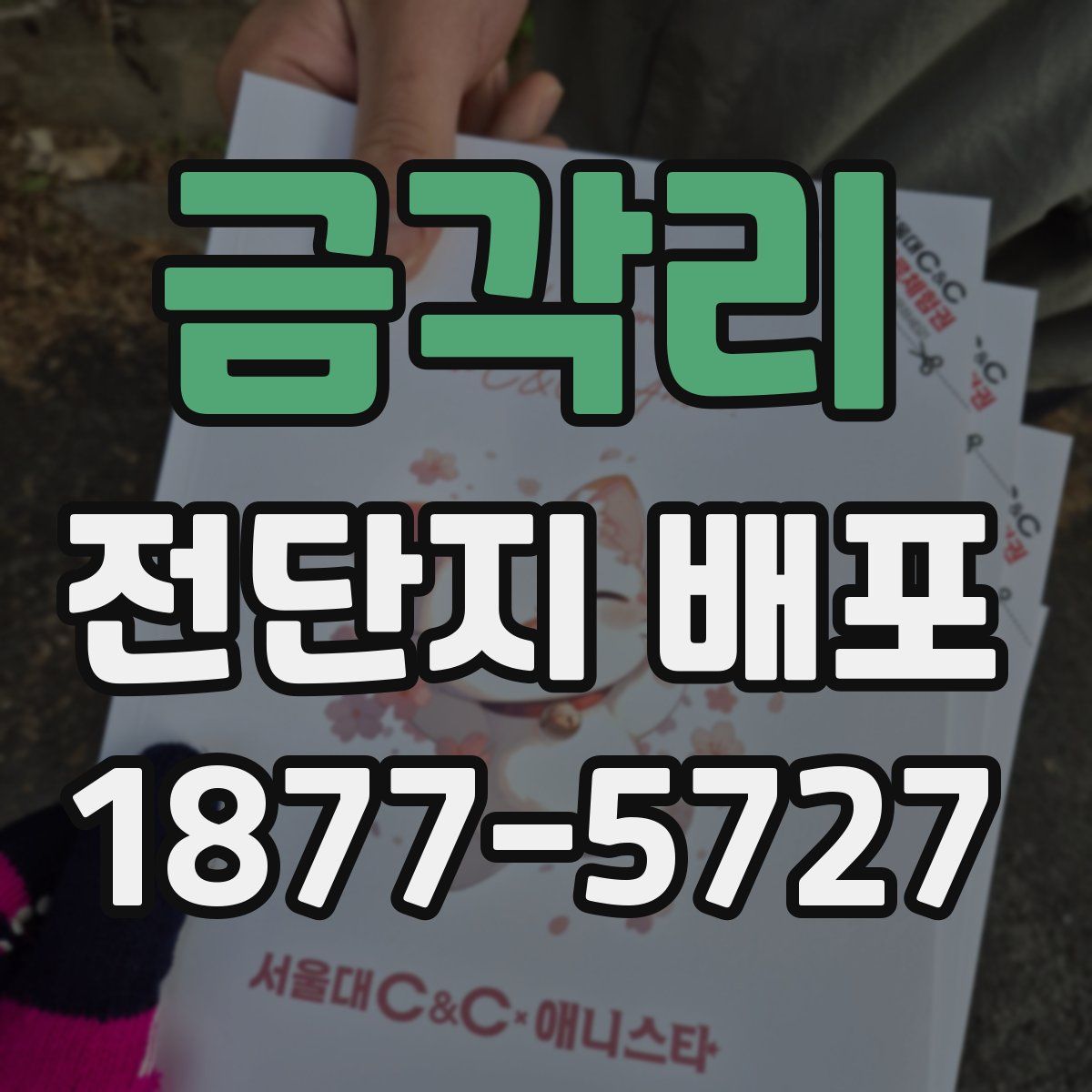 금각리 전단지 배포