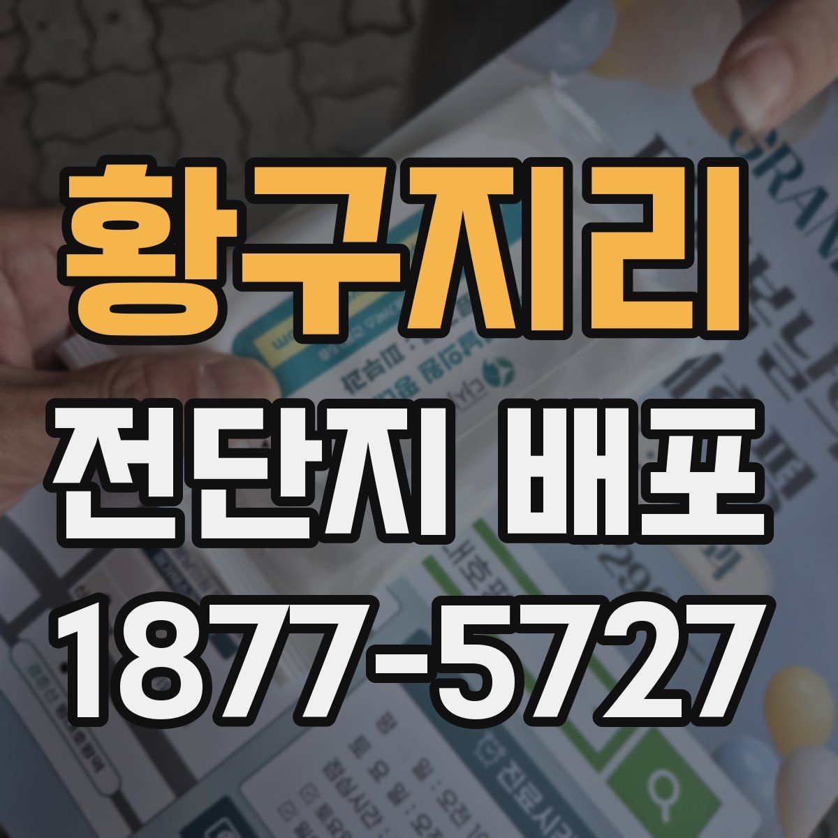 황구지리 전단지 배포