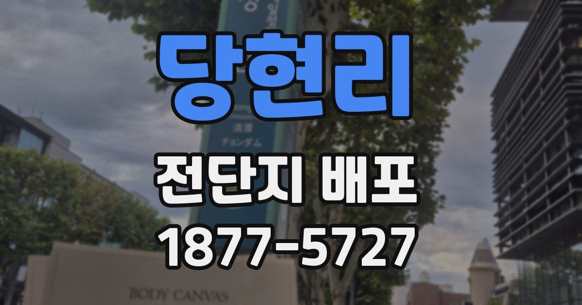 당현리 전단지 배포