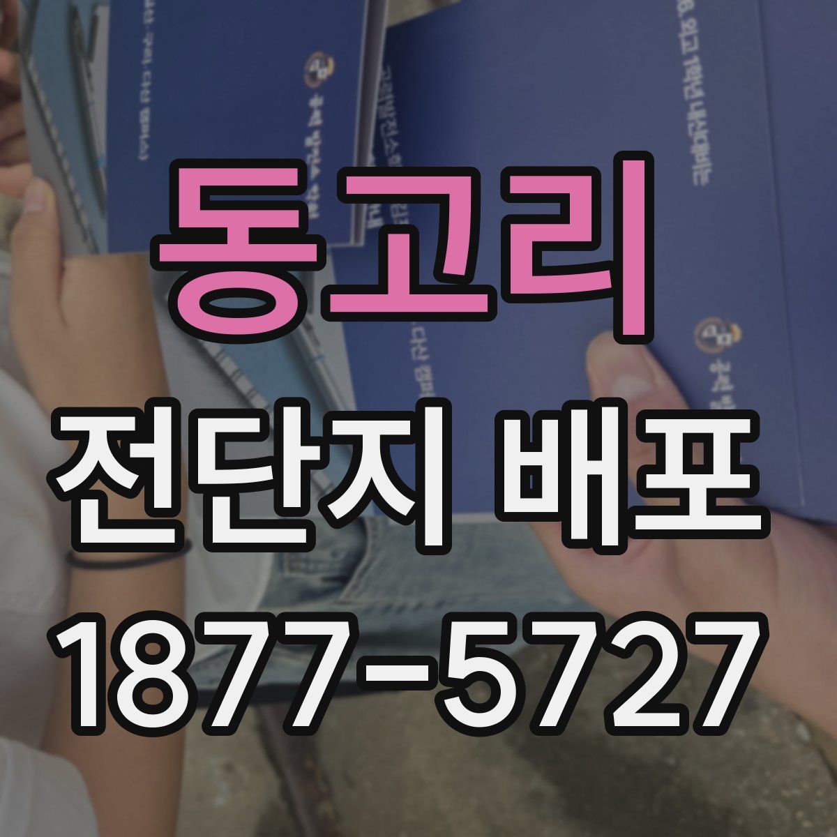 동고리 전단지 배포