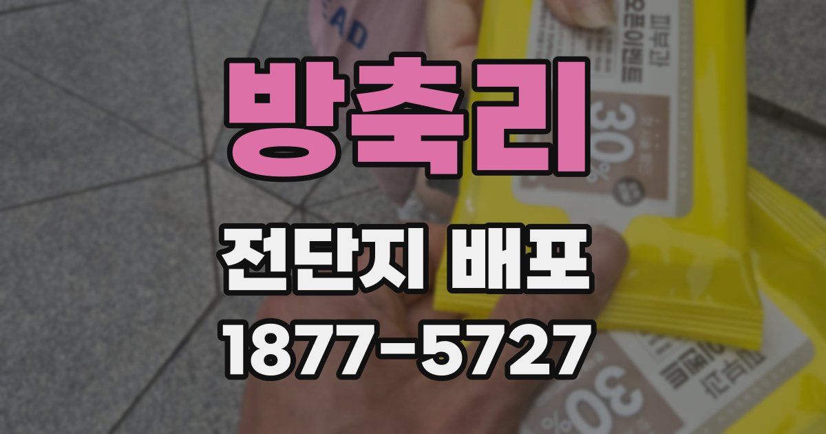 방축리 전단지 배포