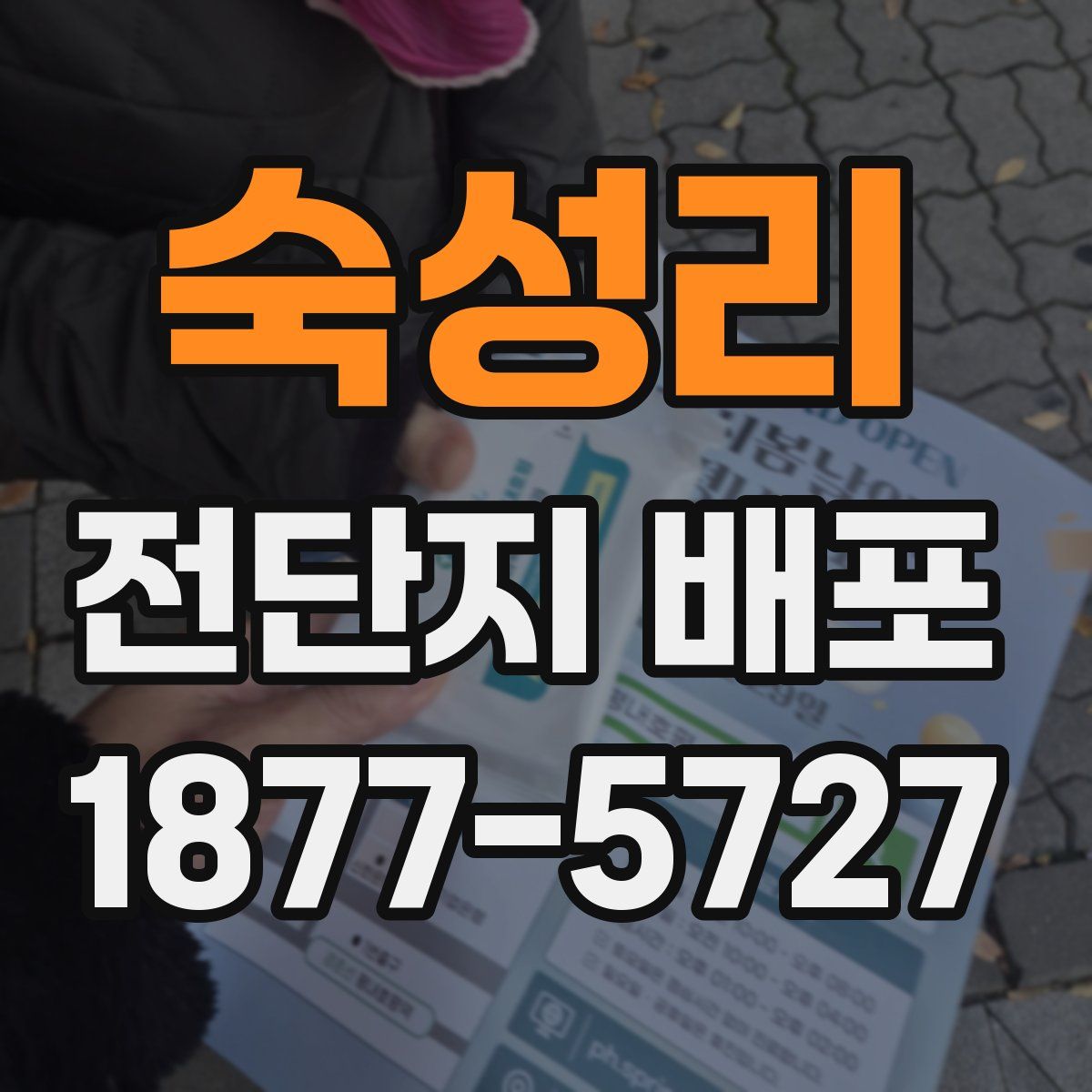 숙성리 전단지 배포
