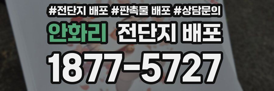 안화리 전단지 배포
