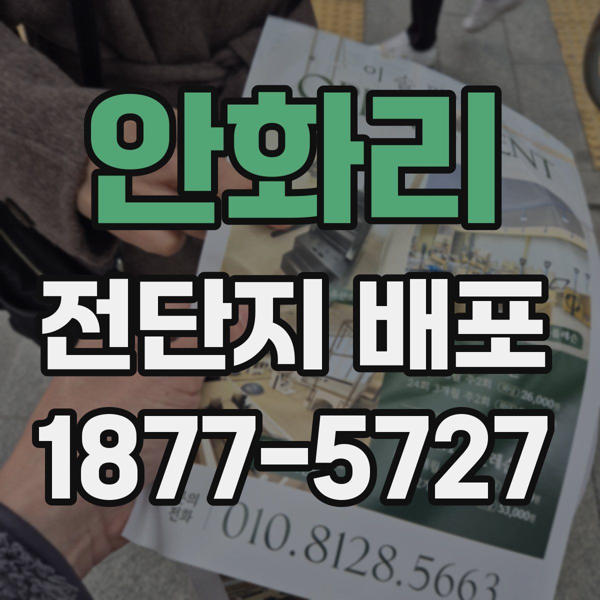 안화리 전단지 배포