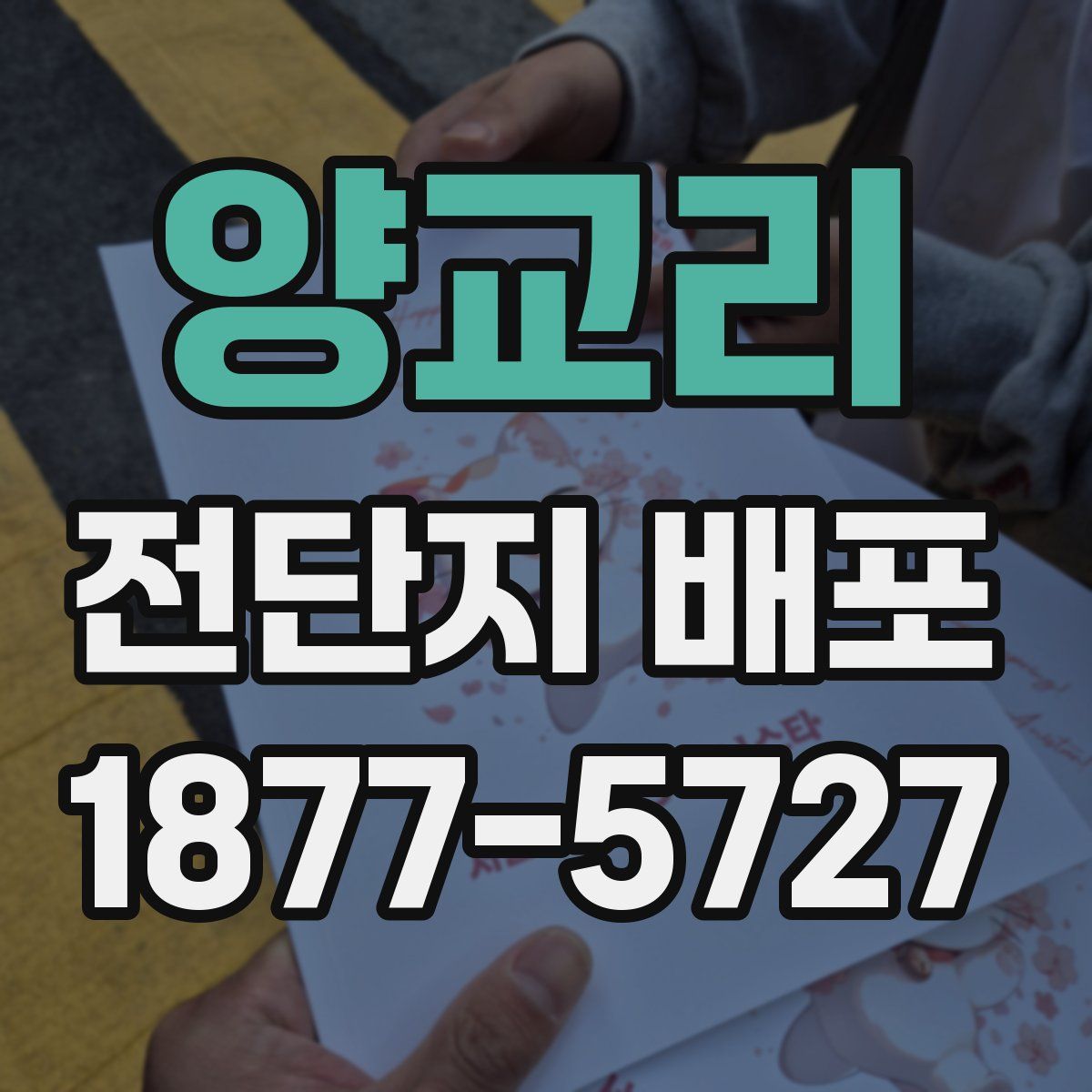 양교리 전단지 배포