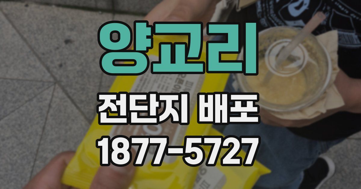 양교리 전단지 배포