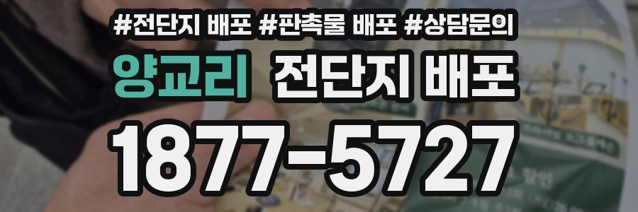 양교리 전단지 배포