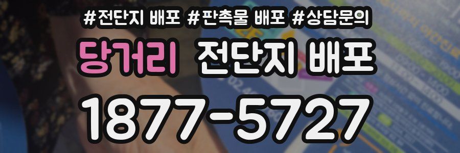당거리 전단지 배포