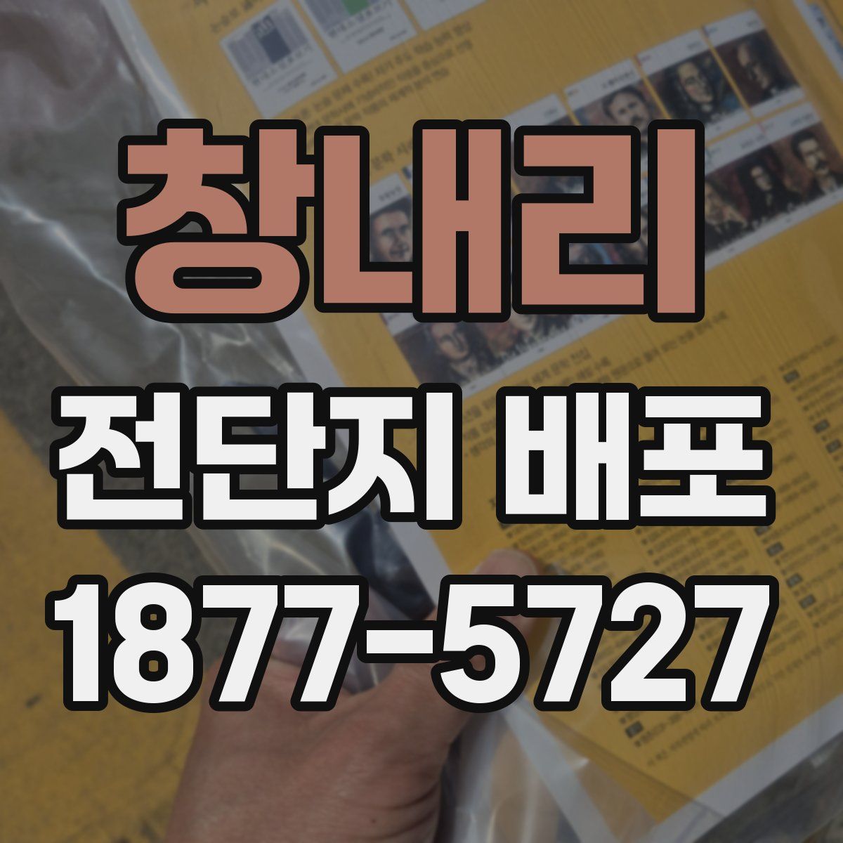 창내리 전단지 배포