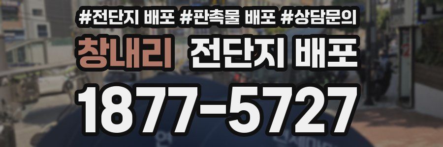 창내리 전단지 배포