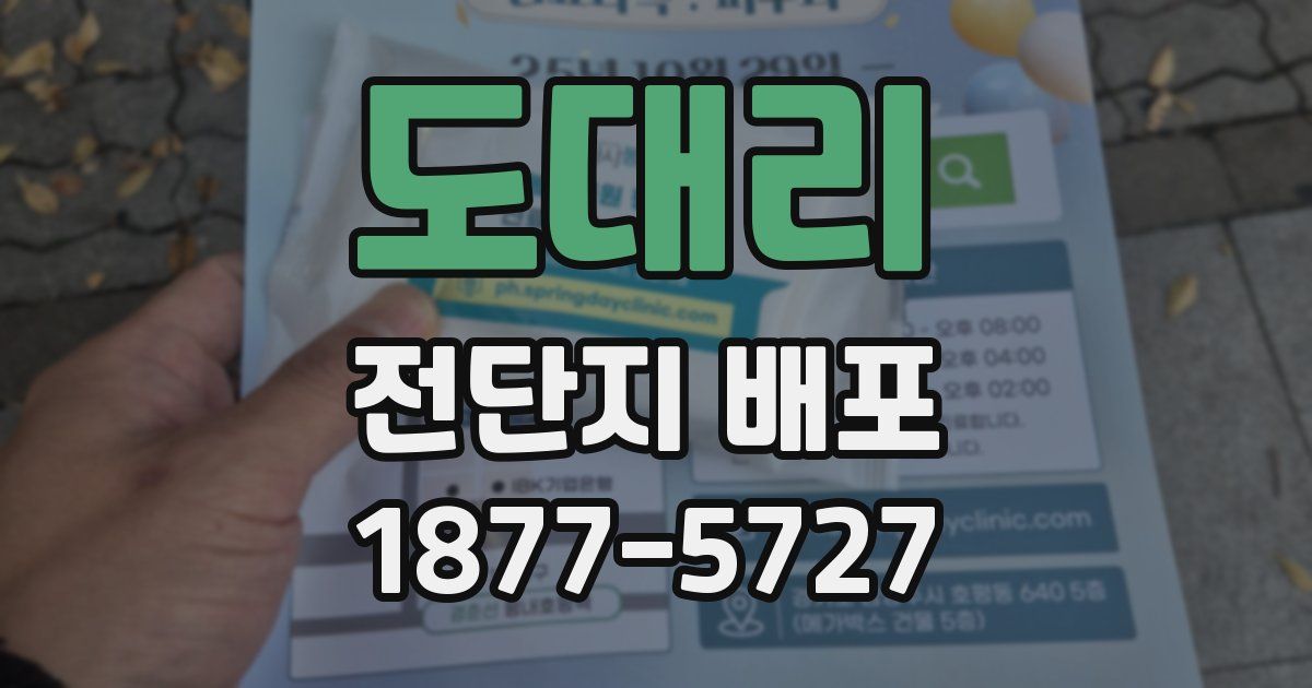 도대리 전단지 배포