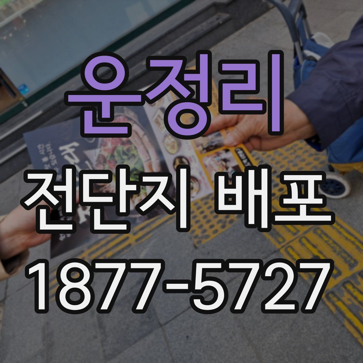 운정리 전단지 배포