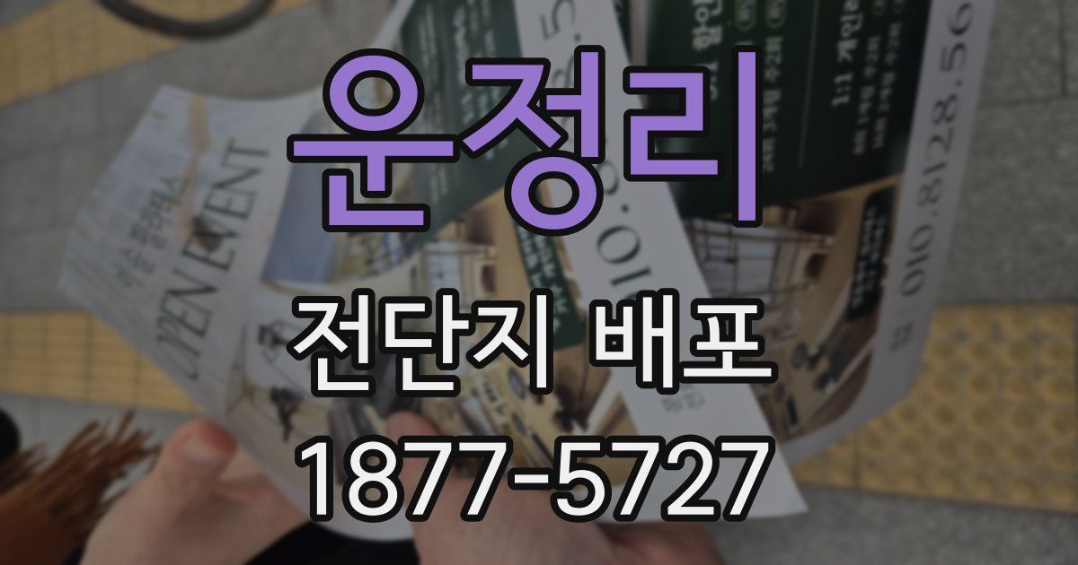 운정리 전단지 배포