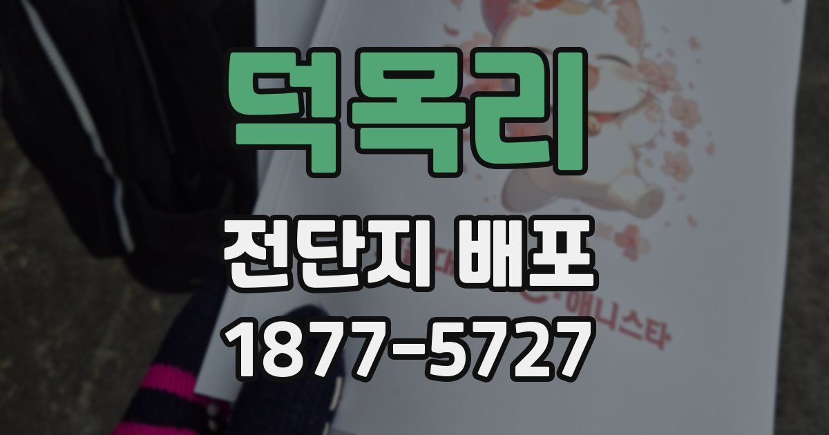 덕목리 전단지 배포