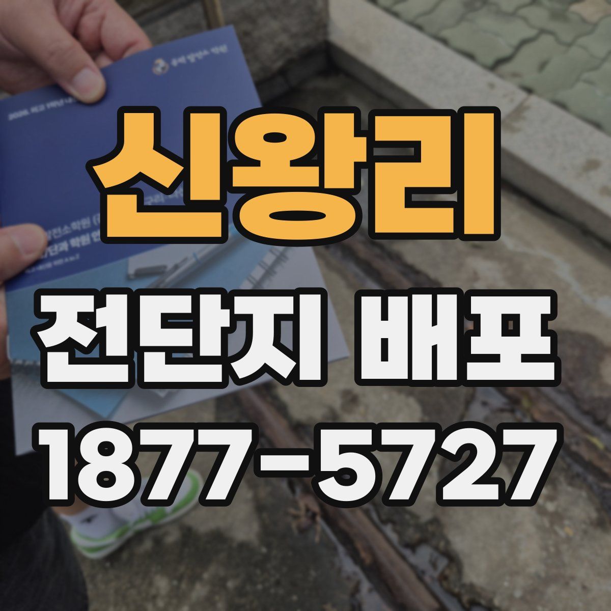 신왕리 전단지 배포