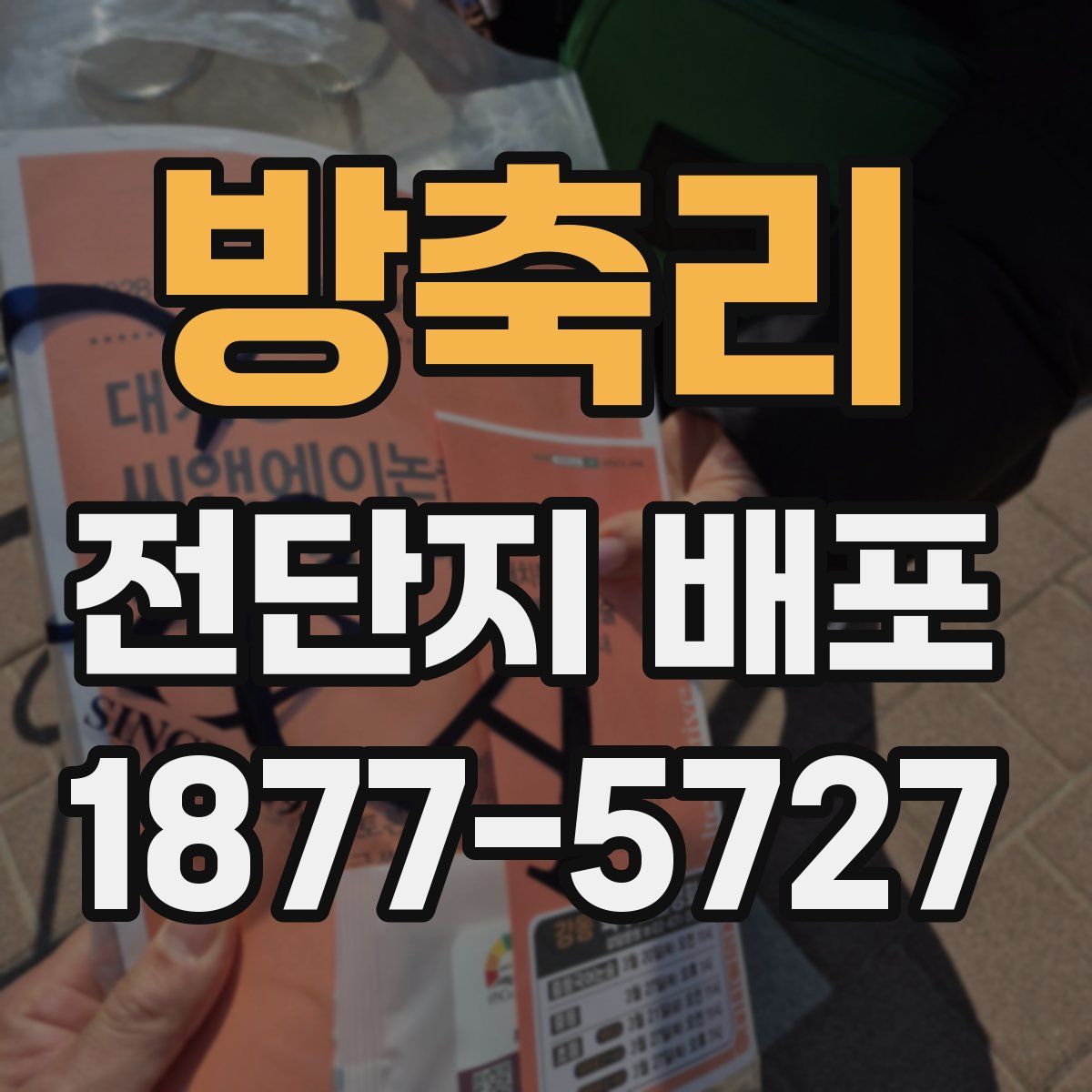 방축리 전단지 배포