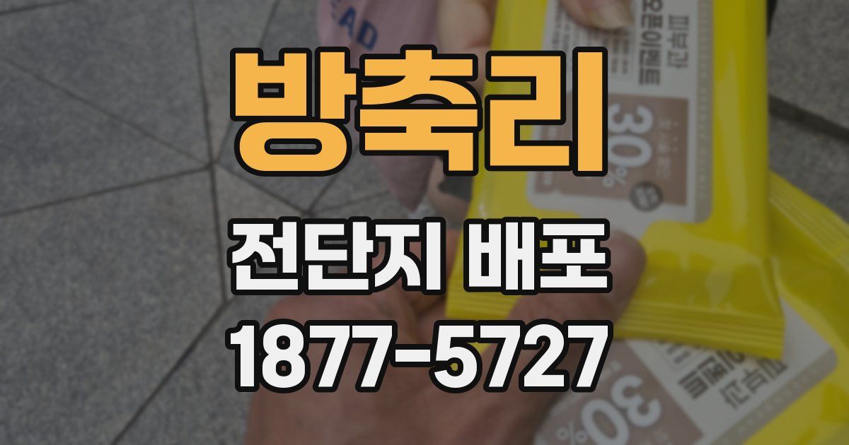 방축리 전단지 배포