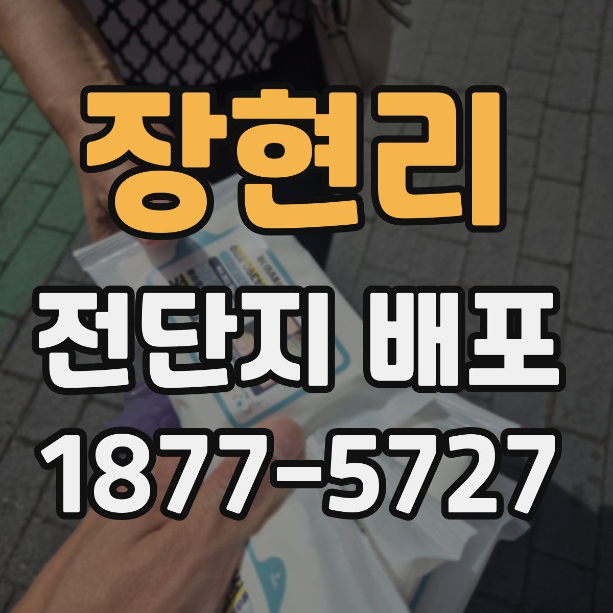 장현리 전단지 배포