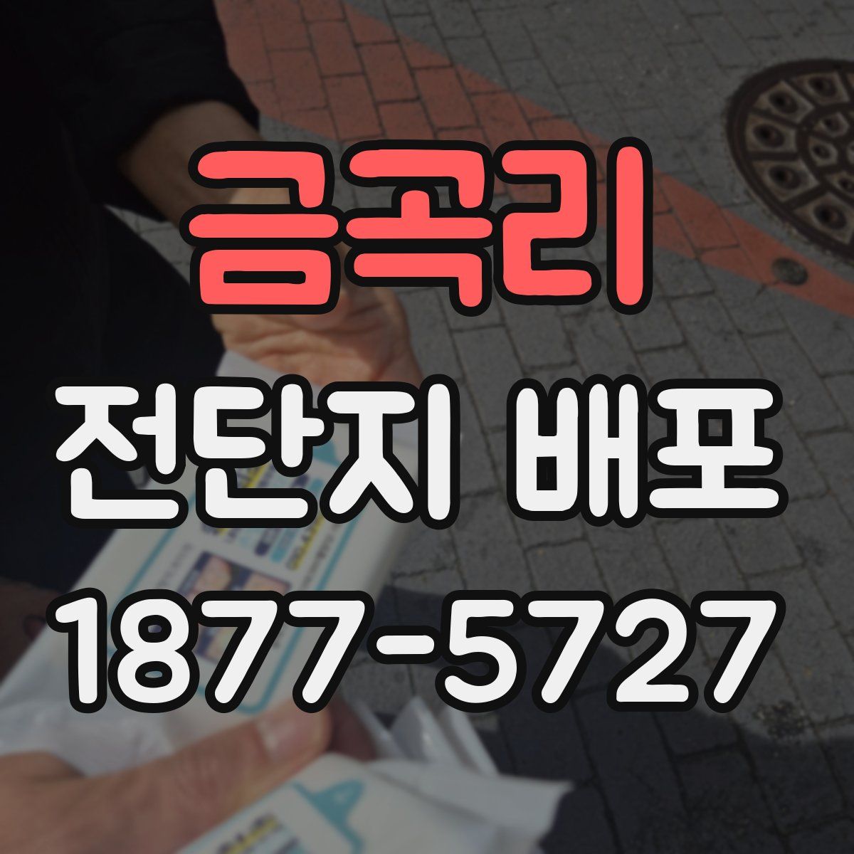 금곡리 전단지 배포