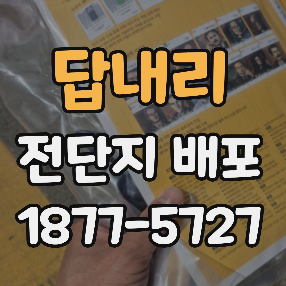 답내리 전단지 배포