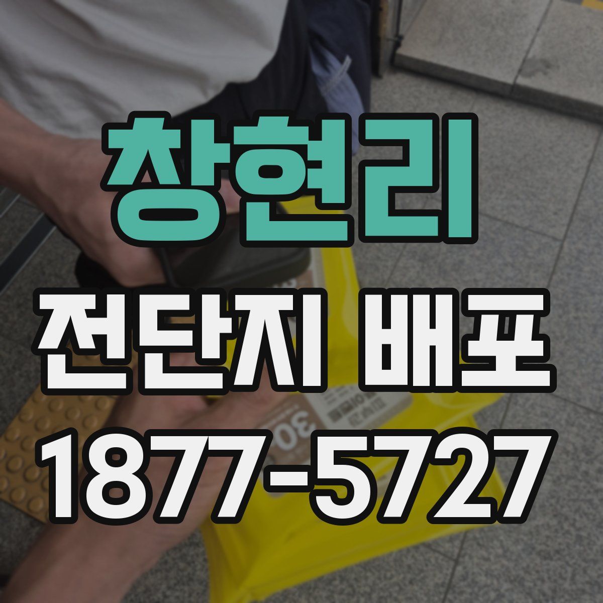 창현리 전단지 배포