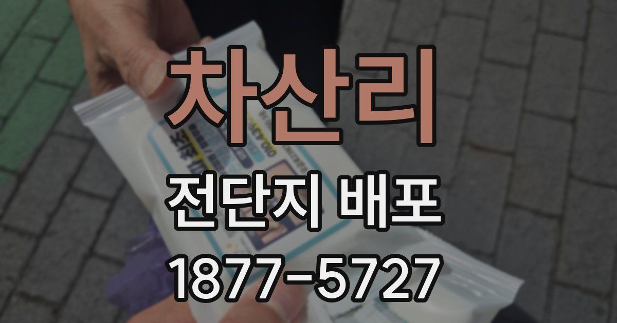 차산리 전단지 배포