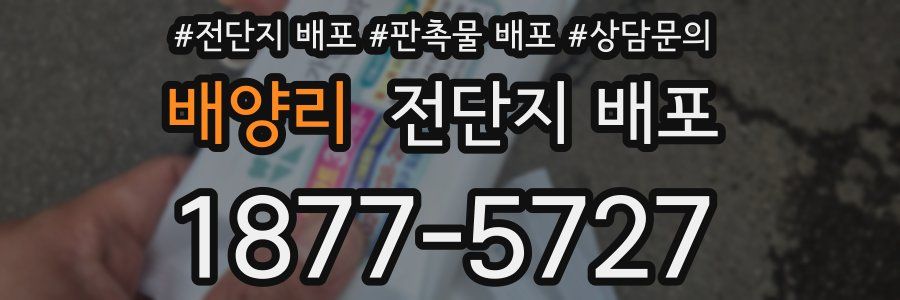 배양리 전단지 배포