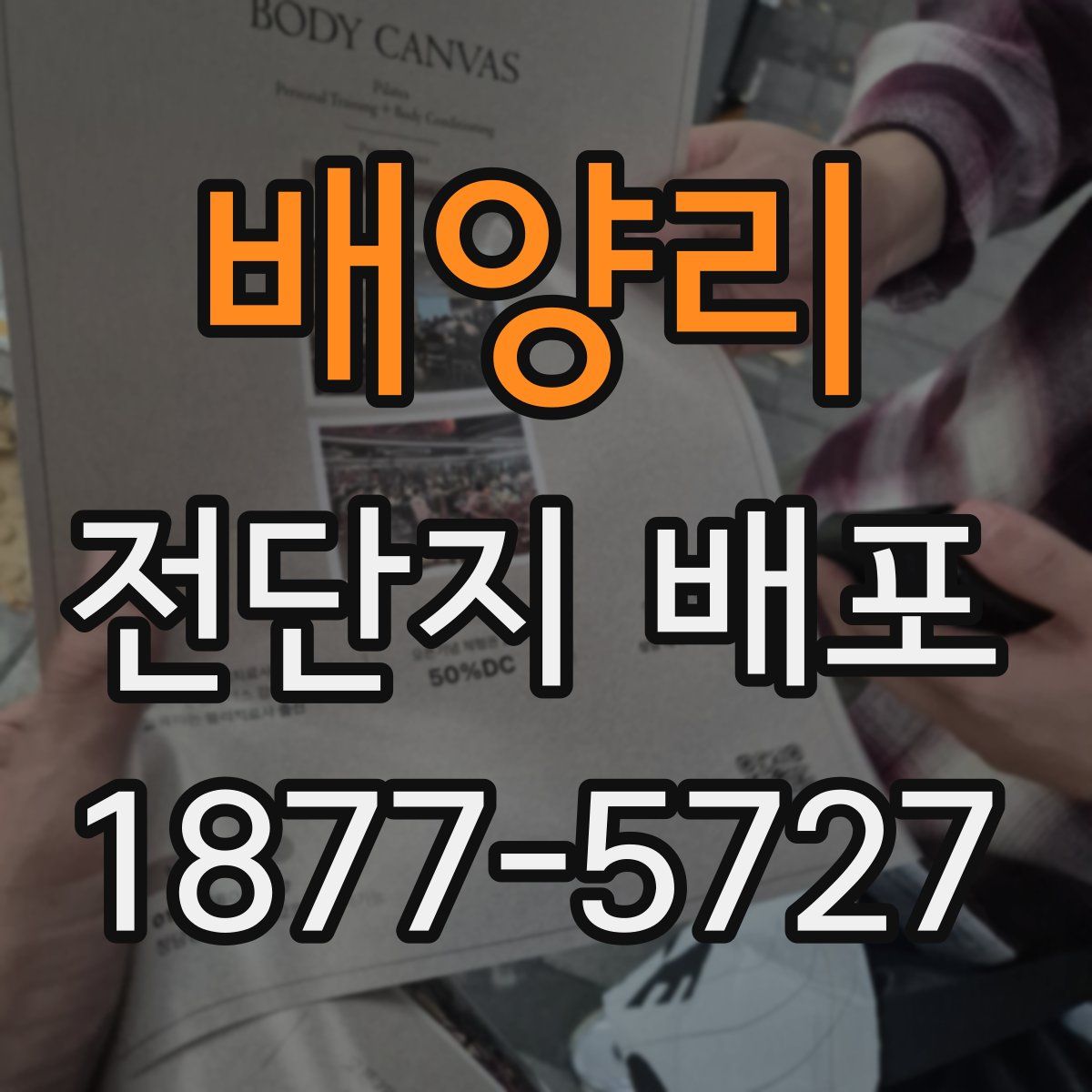 배양리 전단지 배포