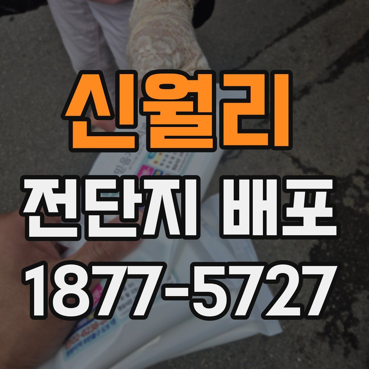 신월리 전단지 배포