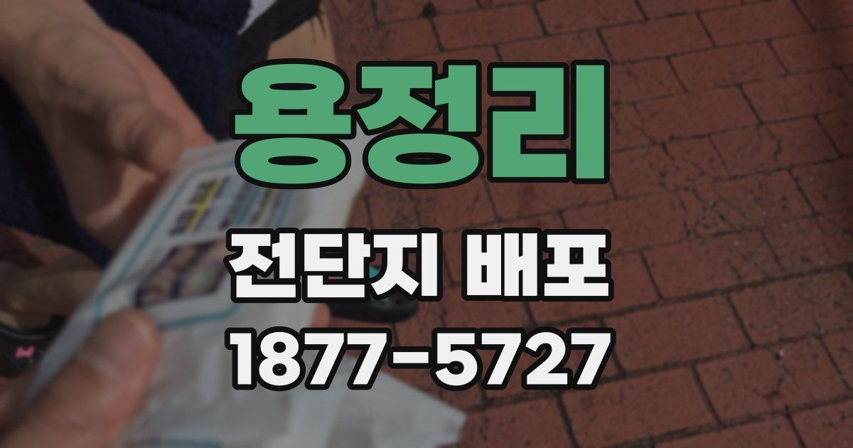 용정리 전단지 배포