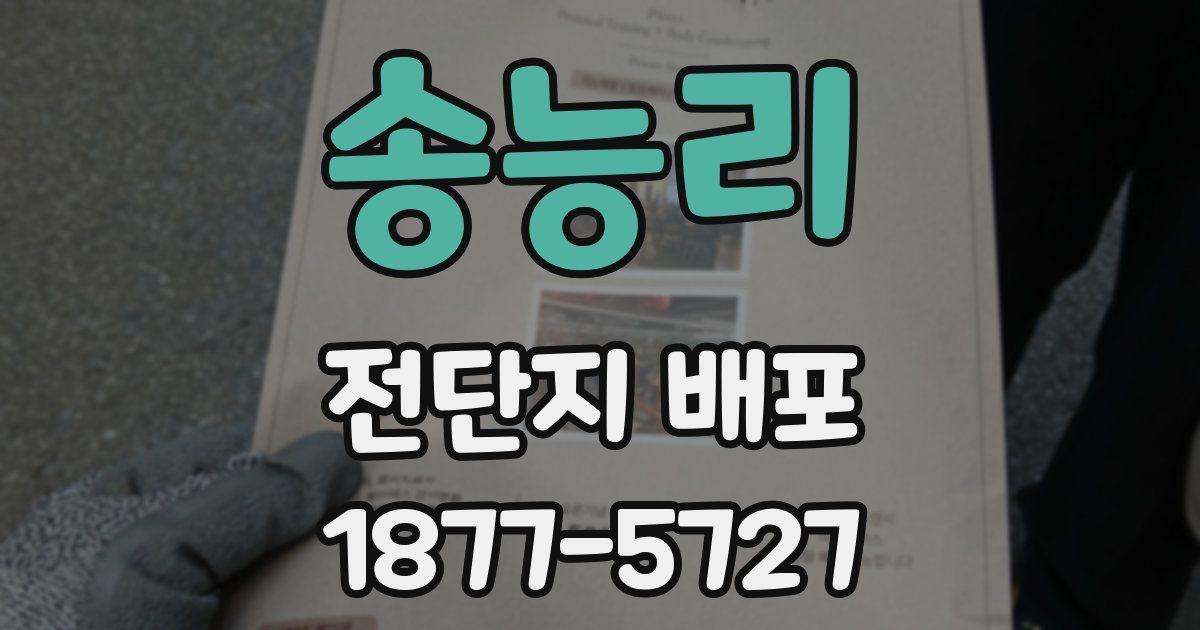 송능리 전단지 배포