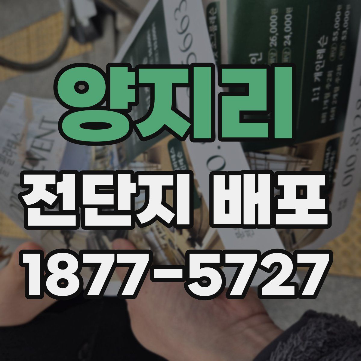 양지리 전단지 배포