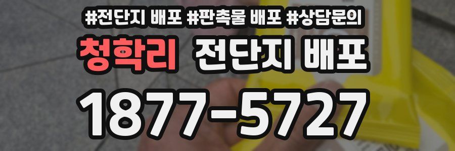 청학리 전단지 배포