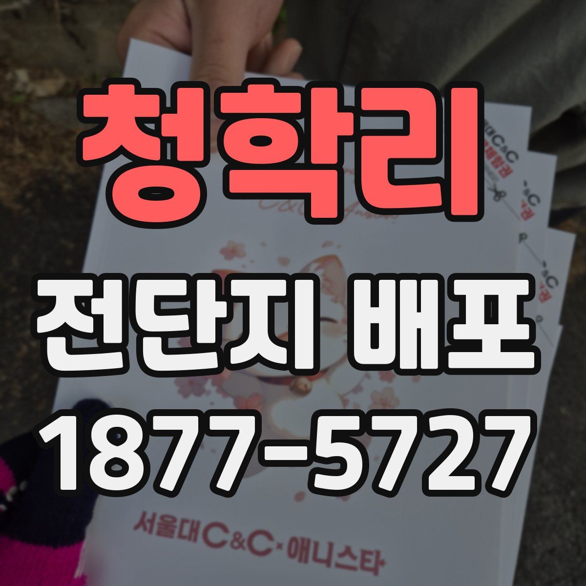 청학리 전단지 배포