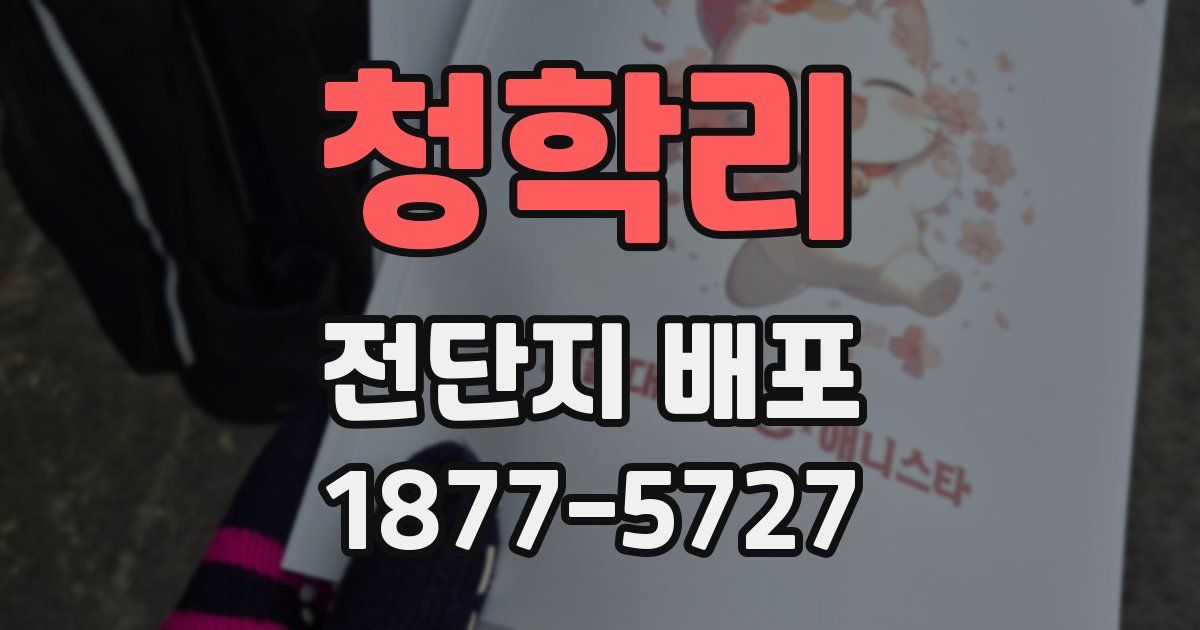 청학리 전단지 배포