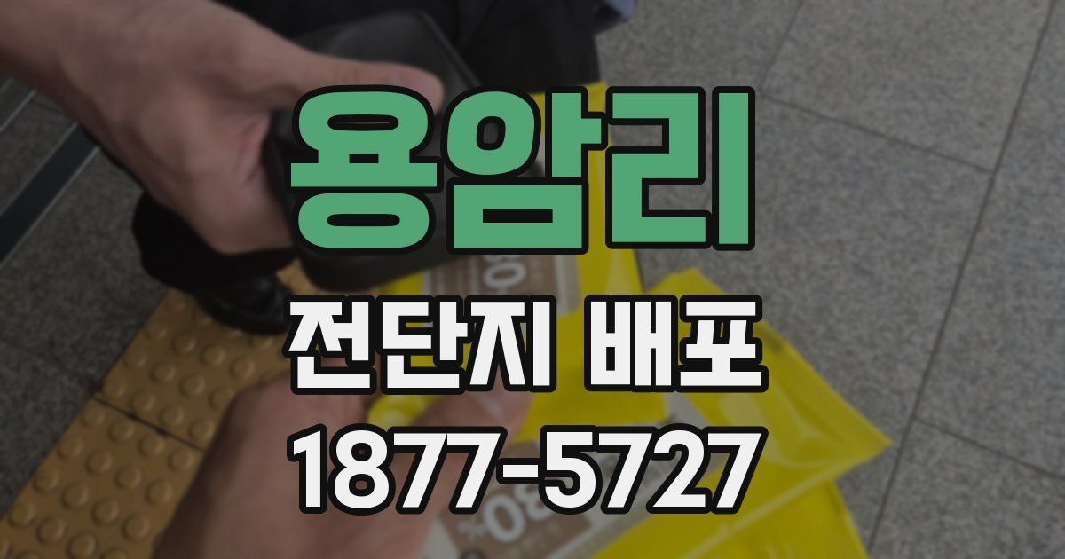 용암리 전단지 배포