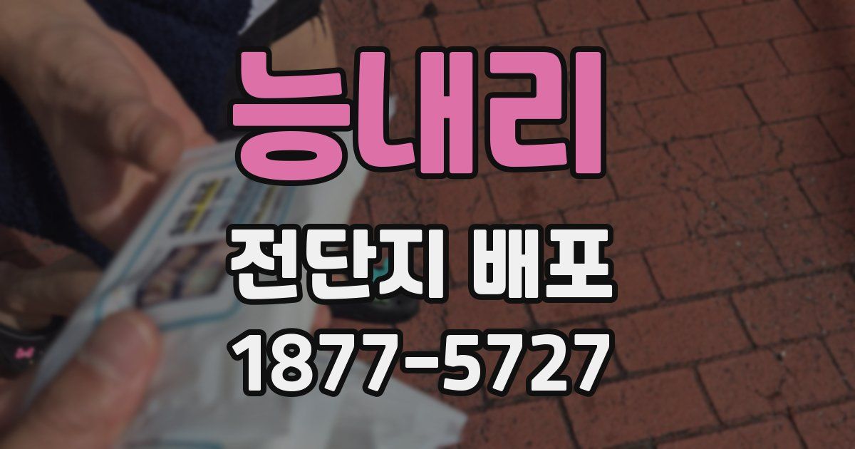 능내리 전단지 배포