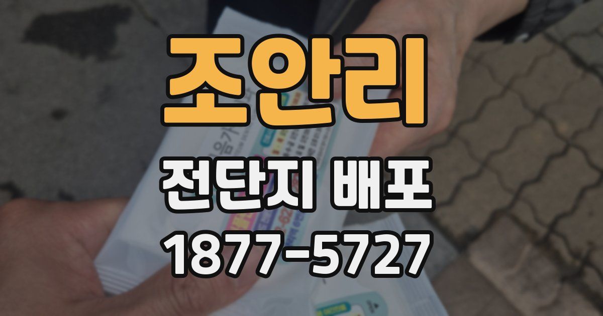 조안리 전단지 배포