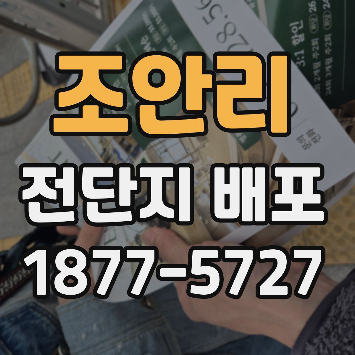 조안리 전단지 배포