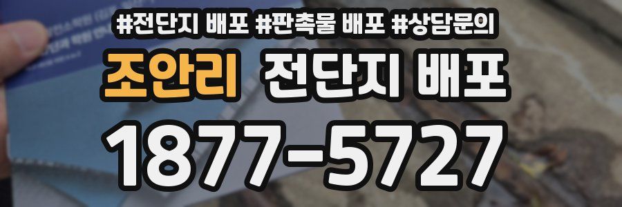 조안리 전단지 배포